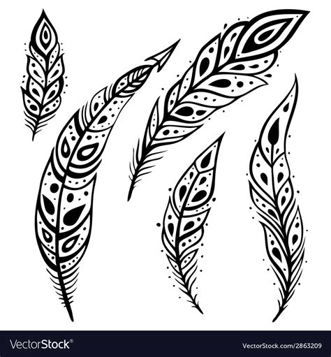 Peacock Feather Set Royalty Free Vector Image VectorStock