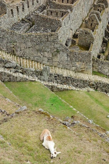 Premium Photo Cusco Peru The Ancient Inca Town Of Machu Picchu