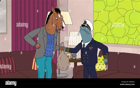 BOJACK HORSEMAN, l-r: Bojack (voice: Will Arnett), Neal the Seal (voice ...