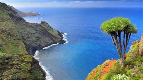 Día De Canarias ¿por Qué Se Celebra El 30 De Mayo