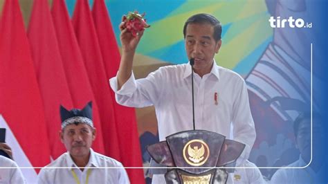 Jokowi Tambah Subsidi Rp Triliun Untuk Atasi Kelangkaan Pupuk