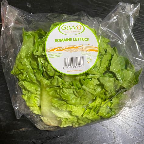 Givvo Romaine Lettuce Reviews Abillion