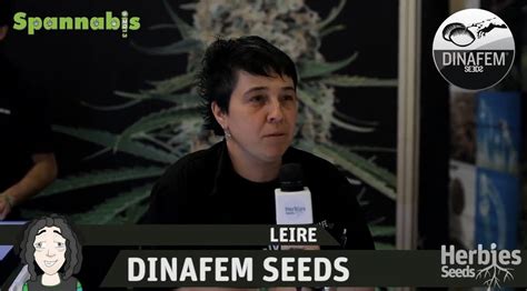 Herbies En Spannabis Barcelona Dinafem Seeds Youtube