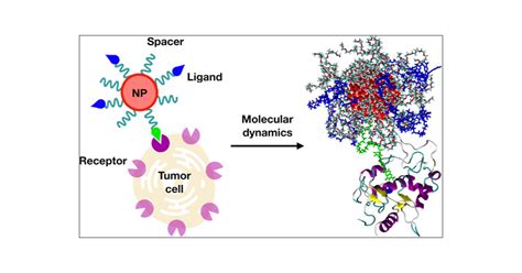 Molecular Dynamics For The Optimal Design Of Functionalized Nanodevices