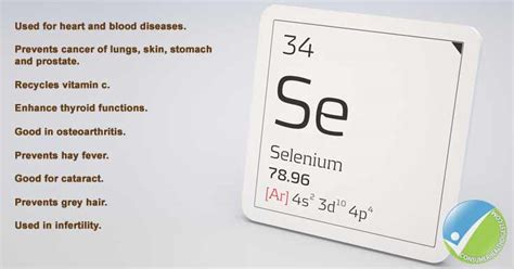 Selenium Know Everything About Its Advantages And Disadvantages