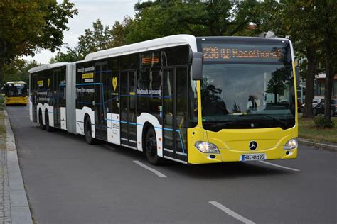 O 530 Citaro II CapaCity L Fotos Nahundfernverkehr Startbilder De