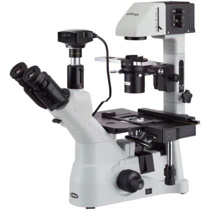 Amscope In Series Inverted Infinity Corrected Phase Contrast