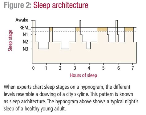 The Science Of Sleep HelpGuide Org