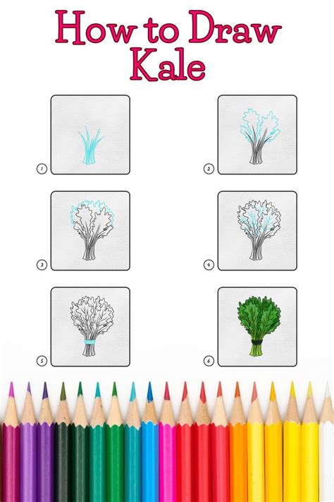 How to Draw Kale - 6 step drawing lesson for kids | Drawing lessons for ...