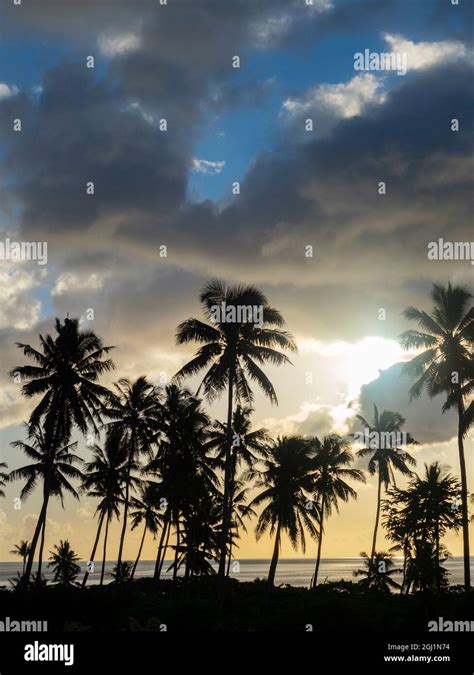 Fiji Taveuni Island Beach Sunset With Palm Trees Stock Photo Alamy