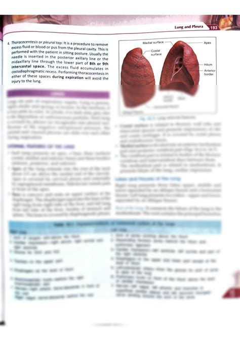 SOLUTION Lung And Pleura Studypool