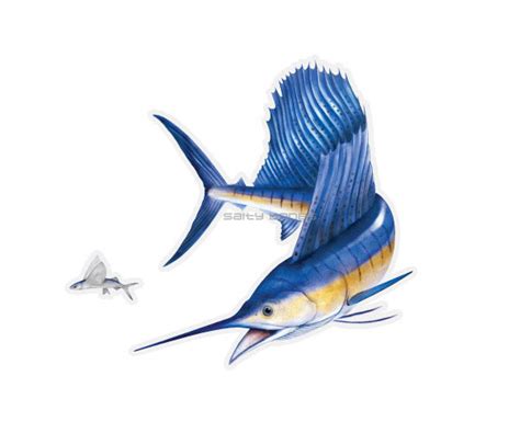 Sailfish Mega Decal Salty Bones