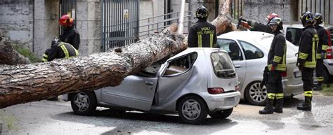 Roma Albero Cade Su Tre Auto In Viale Mazzini Due Feriti Uno Grave