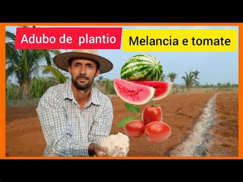 Aduba Ao De Funda O No Solo Para Plantio De Melancia E Tomate