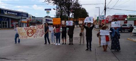 Ambientalistas Rechazan Tala De 64 árboles Para Paso Vehicular En La