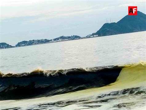 Coespris Detecta Presencia De Marea Roja No T Xica En La Zona De Playa