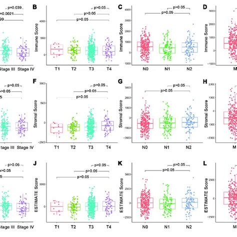 Association Of Immune Score Stromal Score And Estimate Score With