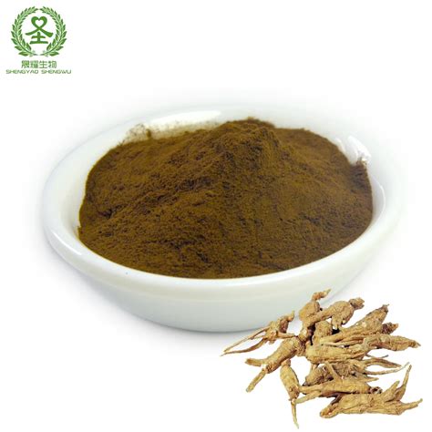 Angelica Root Extract Powder Angelica Sinensis Extract Angelica Polysaccharide 70 Buy