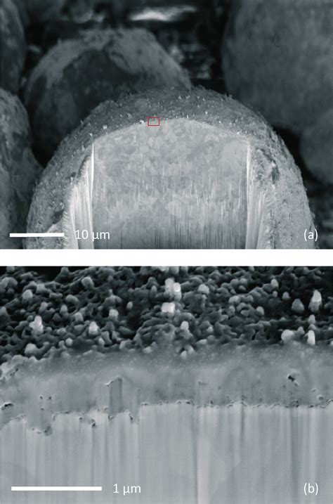 SEM microphotographs of a catalyst particle with diameter of about 50 ...