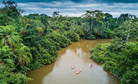 Odzala Kokoua National Park The Africa Adventure Company