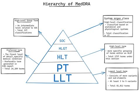 🪜structure Of The Meddra Hierarchy Drugvigils Blog