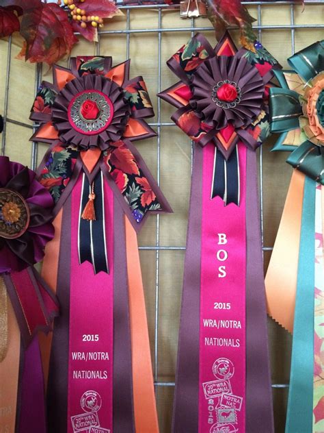 2015 Wra National Ribbon Rosettes Art Lessons Rosettes