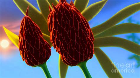 Closeup Of A Protea Flower Bud Digital Art By Viktor Birkus Pixels