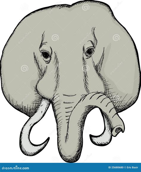 Cara Del Elefante Ilustración Del Vector Ilustración De Fuerte 25680680