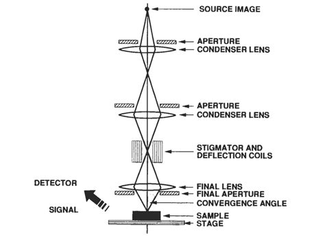 Scanning Electron Microscopy Principle And Applications Chemistry Notes