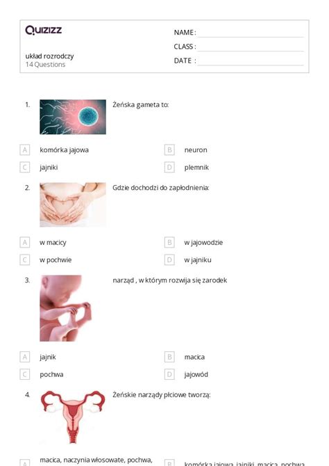 Ponad Uk Ad Odporno Ciowy Arkuszy Roboczych Dla Klasa W Quizizz