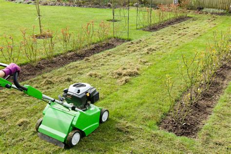 Rasen vertikutieren und düngen Eine Anleitung