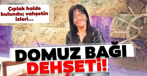 Son Dakİka İzmirde Domuz Bağı Dehşeti Polis Ekipleri O Manzarayı