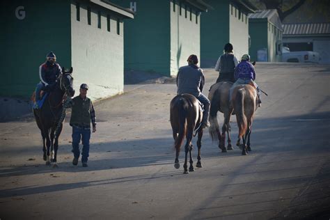 Gallery Mountaineer Park Hbpa Newell Wv 304 387 1925