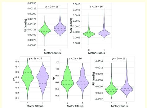 Violin Plots Violin Plots Are Illustrating The Frequency Distribution Download Scientific