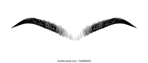 69 Unibrow Images Stock Photos And Vectors Shutterstock