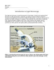 A P Lab 1 SP19 Docx BIO 201 Name Lab 1 Introduction To Light