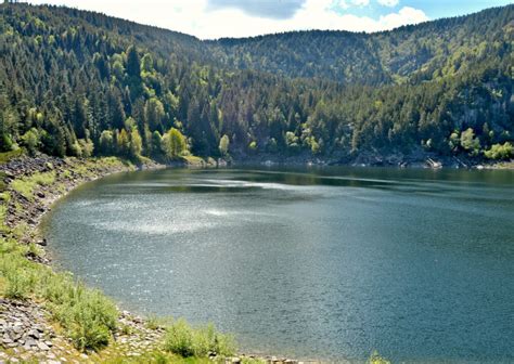 Le Lac Noir Massif Des Vosges