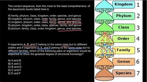 How To Memorize Taxonomic Ranks Mnemonic Technique Youtube