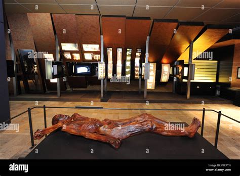 Otzi Iceman Hi Res Stock Photography And Images Alamy