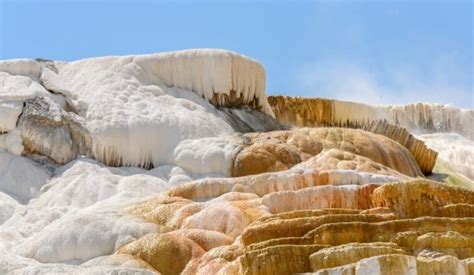 Mammoth Hot Springs Things To Do Tips For Parking And Trail Map