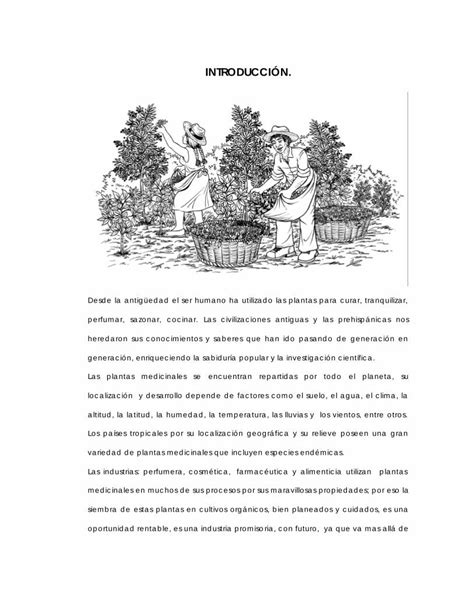 Pdf Cartilla De Plantas Medicinales Dokumentips