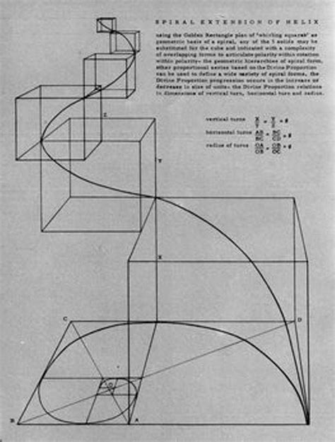 Pin By Gustavo A Delgado On Golden Ratio Sacred Geometry Art