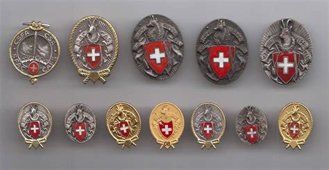 Insignes De Boutonni Re Du Club Alpin Suisse Des Ann Es Canton