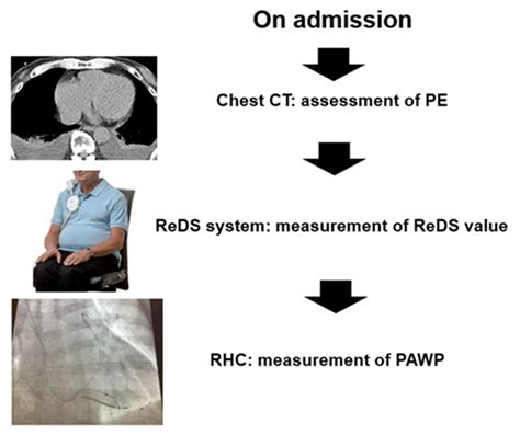 Jcm Free Full Text Presence Of Pleural Effusion In The Assessment