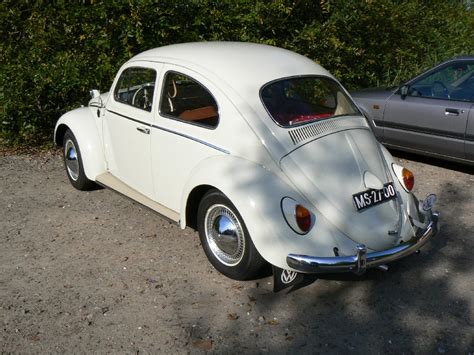 TheSamba Gallery 1963 Bug Pearl White L87