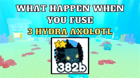 What Happens When You Fuse 3 Hydra Axolotl Pet Simulator X Roblox