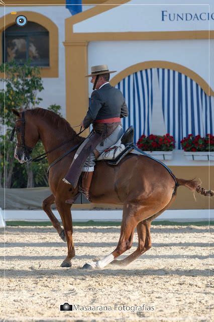 MANUEL SALADO Y SUS FOTOS XVII Copa De S M El Rey De Doma Vaquera