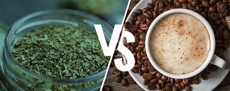Yerba Mate vs. Coffee: Which Offers Greater Health Benefits?