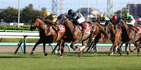 【セントライト記念2022予想】本命馬5選と穴馬5選・コース解説3連単（菊花賞トライアル） ｜ 3連単6点勝負！競馬で夢を叶える！3連単競馬