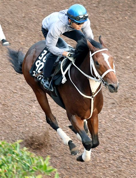 【京王杯2歳s】エイシンワンドが無傷3連勝＆重賞連勝へ躍動 幸英明騎手「パワーアップしている」 Umatoku 馬トク